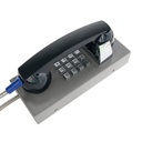 CT202-FK-SIP-CRS, Teléfono IP Antivandálico, 12 teclas, SIP, PoE, Acero Pintado, montaje en pared, 247x130x132mm
