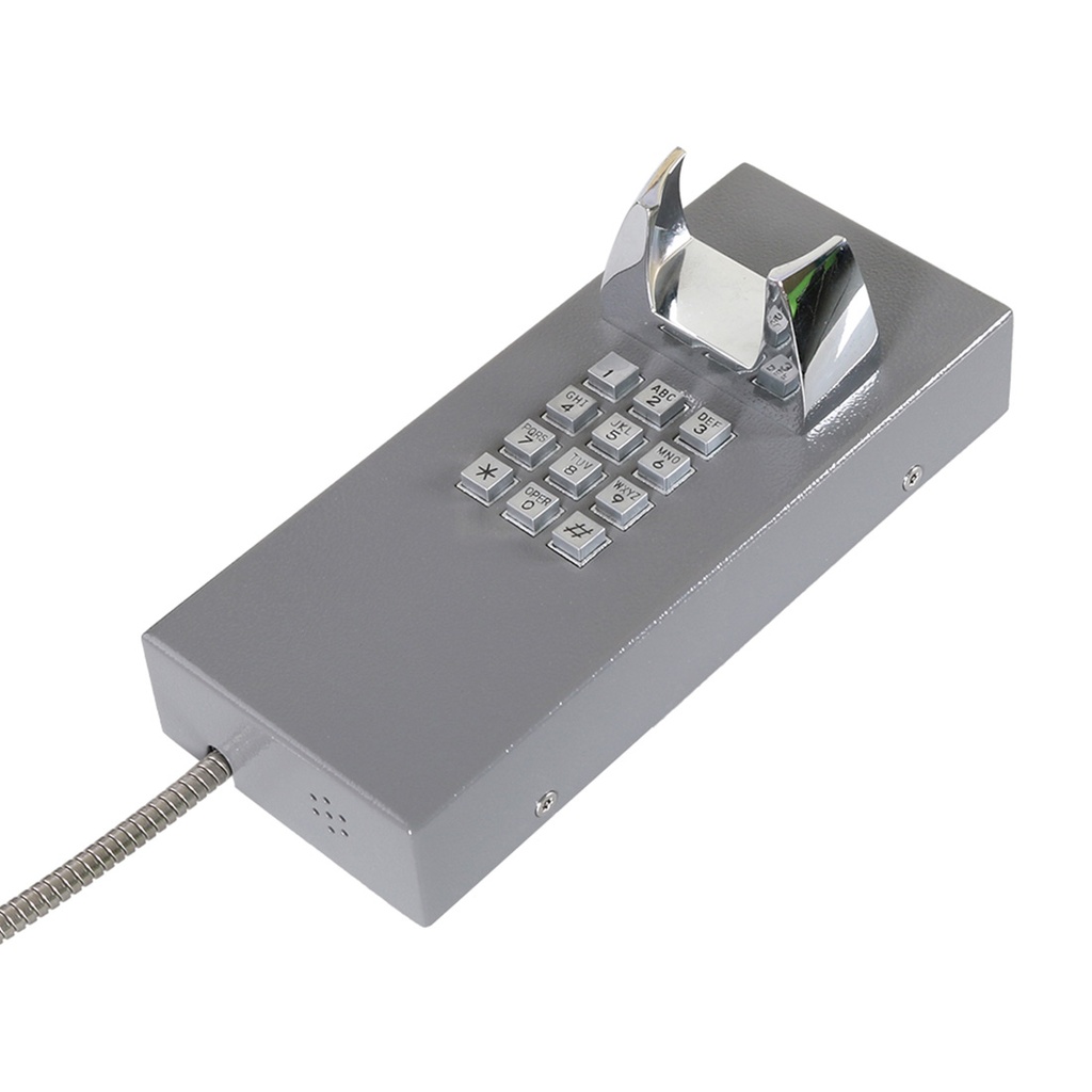 CT202-FK-SIP-CRS, Teléfono IP Antivandálico, 12 teclas, SIP, PoE, Acero Pintado, montaje en pared, 247x130x132mm