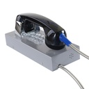 CT202-FK-SIP-CRS, Teléfono IP Antivandálico, 12 teclas, SIP, PoE, Acero Pintado, montaje en pared, 247x130x132mm