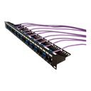 043-382/24/1U, Patch panel c/organizador posterior jacks vacio de 24 puertos