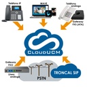 CloudUCM-SOHO, PBX en la nube, 20 exts, 8 llamadas simultáneas, 1 GB, Wave, grabación, API y Dominio. Anualidad.