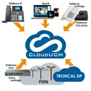 CloudUCM-Business, PBX en la nube, 200 exts, 64 llamadas simultáneas, 2 GB, Wave, grabación, API, Logo, Dominio y SDK. Anualidad.