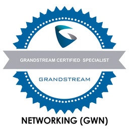 [GCS-GWN] GCS-GWN, Certificación de Especialista de Networking y redes WiFi. En línea sin costo