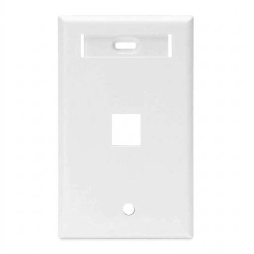 [42080-1WS] 42080-1WS, Placa de pared sencilla con una ventana QuickPort y una ranura para ID, color blanco